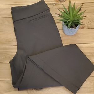 🏵Olive green capri's